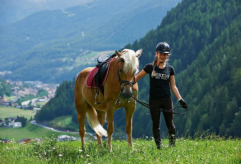 Hotel mit Reitangebot Hotel mit Reitangebot