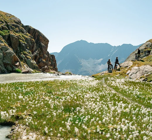 Summer. Sun. Adventure