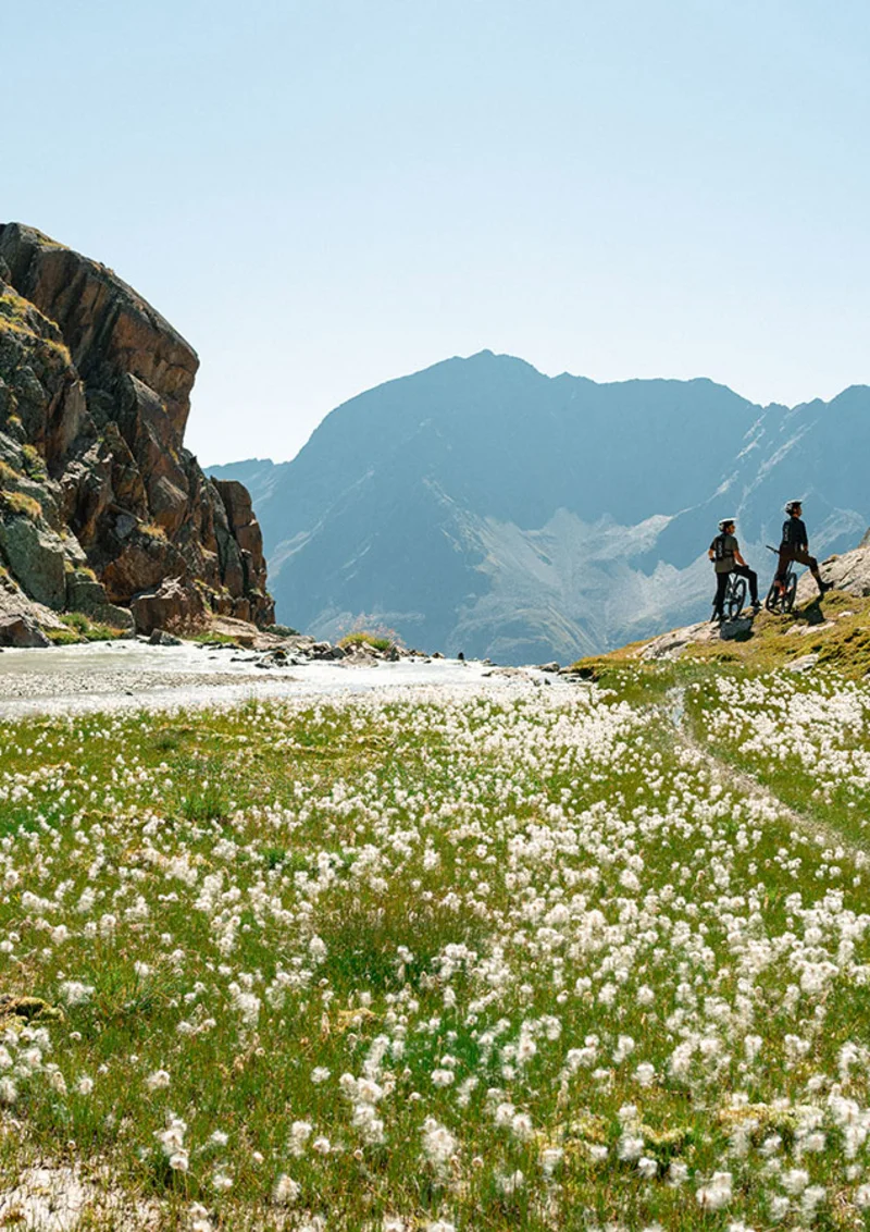 Summer. Sun. Adventure